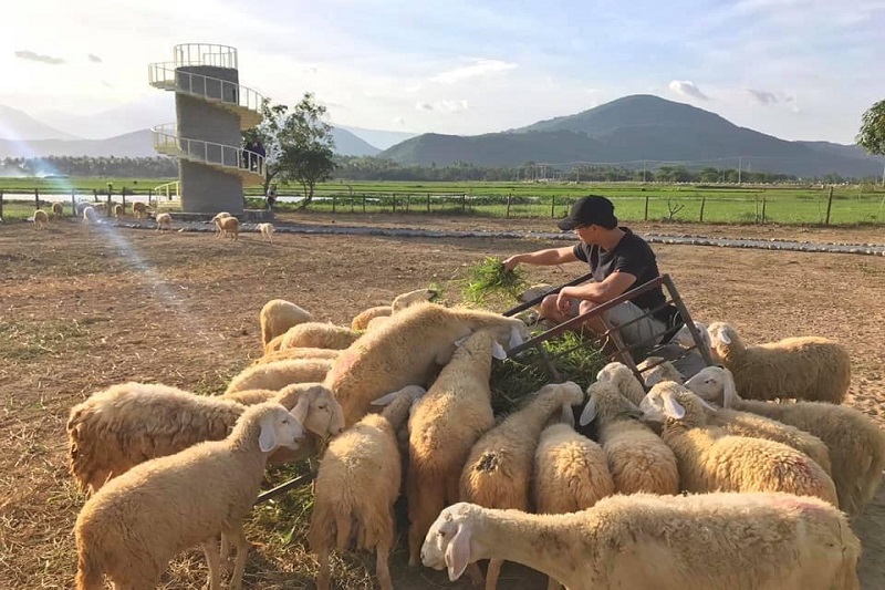 Ảnh slide minh họa 3